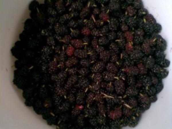 Maulbeermarmelade - schnell & einfach - von micha30