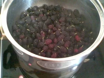 Maulbeermarmelade - Rezept - Bild Nr. 2