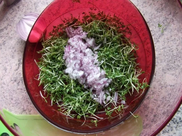 Kartoffelsalat 1. mit Kresse Dieter´s Art - Rezept - Bild Nr. 4