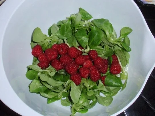 Seelachsfilet auf buntem Rapunzelsalat - Rezept - Bild Nr. 5