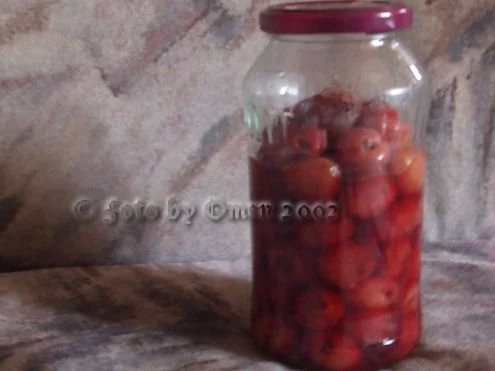 Dunstkirschen, Dunstpflaumen, Dunstmirabellen und Dunstaprikosen - Rezept