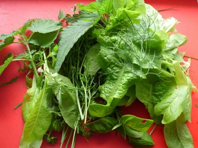 Kräutersauce - grüne Wiese - Rezept - Bild Nr. 2