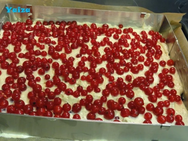 Rezept: Ribisel Blechkuchen Bild Nr. 6 Ribisel Blechkuchen - Rezept - Bild Nr. 6