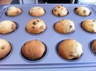 Cranberry Muffins - Rezept