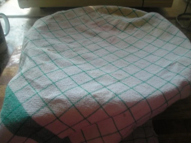 Rezept: Germknödel Bild Nr. 3 Germknödel - Rezept - Bild Nr. 3