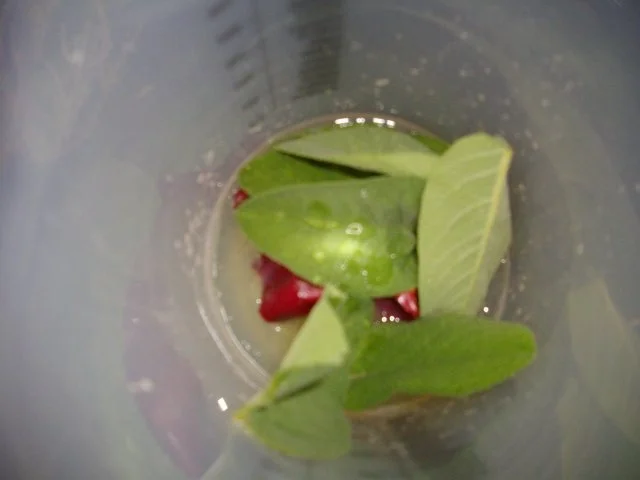 Marinade für Hähnchen - Rezept