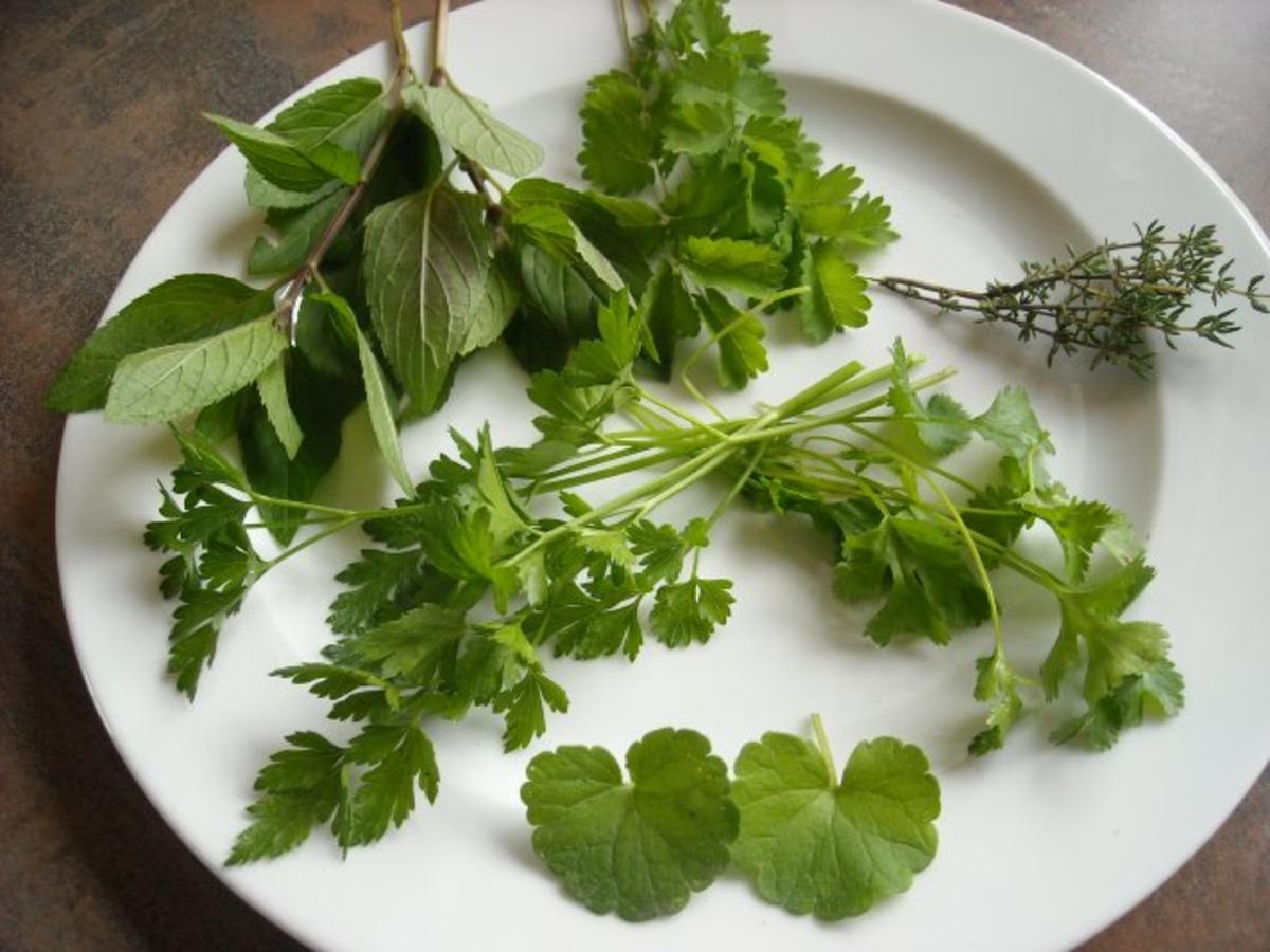 Kohlrabigemüse in Kräutersauce - Rezept - kochbar.de