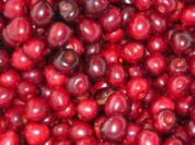 Amarenakirsch 1. Versuch - Rezept