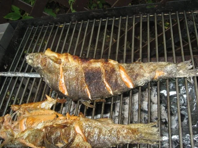 "Stecker'l-Fisch" vom Grill - Rezept