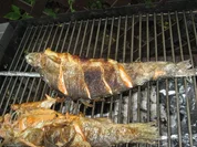 "Stecker'l-Fisch" vom Grill - Rezept