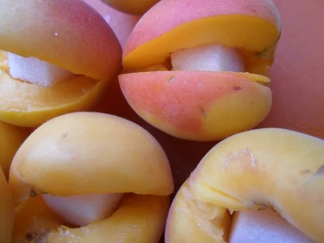 ~ Aprikosenknödel ~ - Rezept - Bild Nr. 9