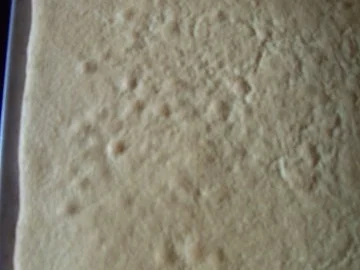 backen: Löffelbiskuit selbst gemacht - Rezept - Bild Nr. 12