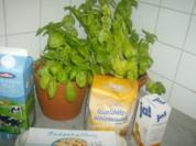 Basilikum Spätzle - Rezept