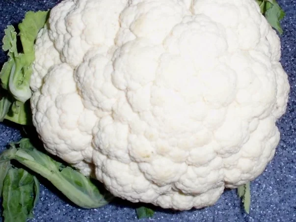 Bunter Gemüse-Auflauf mit Mozzarella überbacken - Rezept - Bild Nr. 4