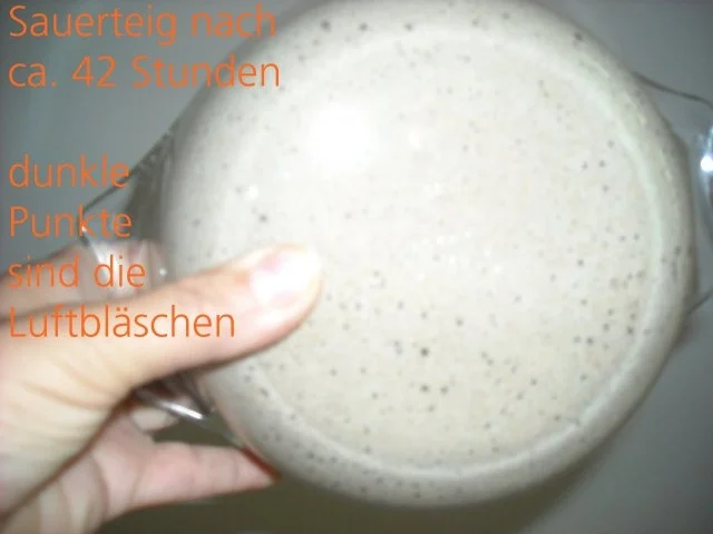 Sauerteig aus eigener Herstellung - Rezept - Bild Nr. 3