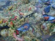 Verschiedenes: Paella....im Kotlovina-Ofen zubereitet - Rezept