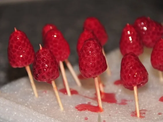 Limetten-Himbeer-Torte - Rezept - Bild Nr. 10