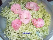 Rezept: Einmachen: Duftender Brotaufstrich Einmachen: Duftender Brotaufstrich - Rezept