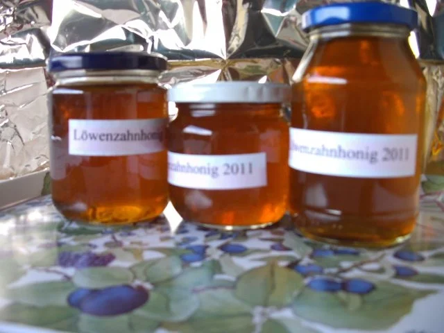 eingemachtes: Löwenzahnhonig - Rezept