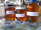 eingemachtes: Löwenzahnhonig - Rezept
