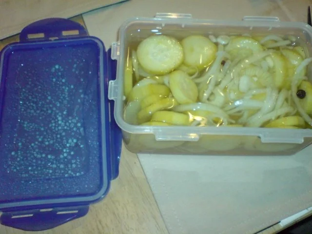 Rezept: Schnellgurken Schnellgurken - Rezept