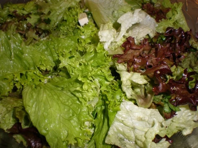 Sommerlicher Blattsalat - Rezept