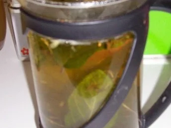 Rezept: Getränk: Grüner Minz-Tee Bild Nr. 2 Getränk: Grüner Minz-Tee - Rezept - Bild Nr. 2