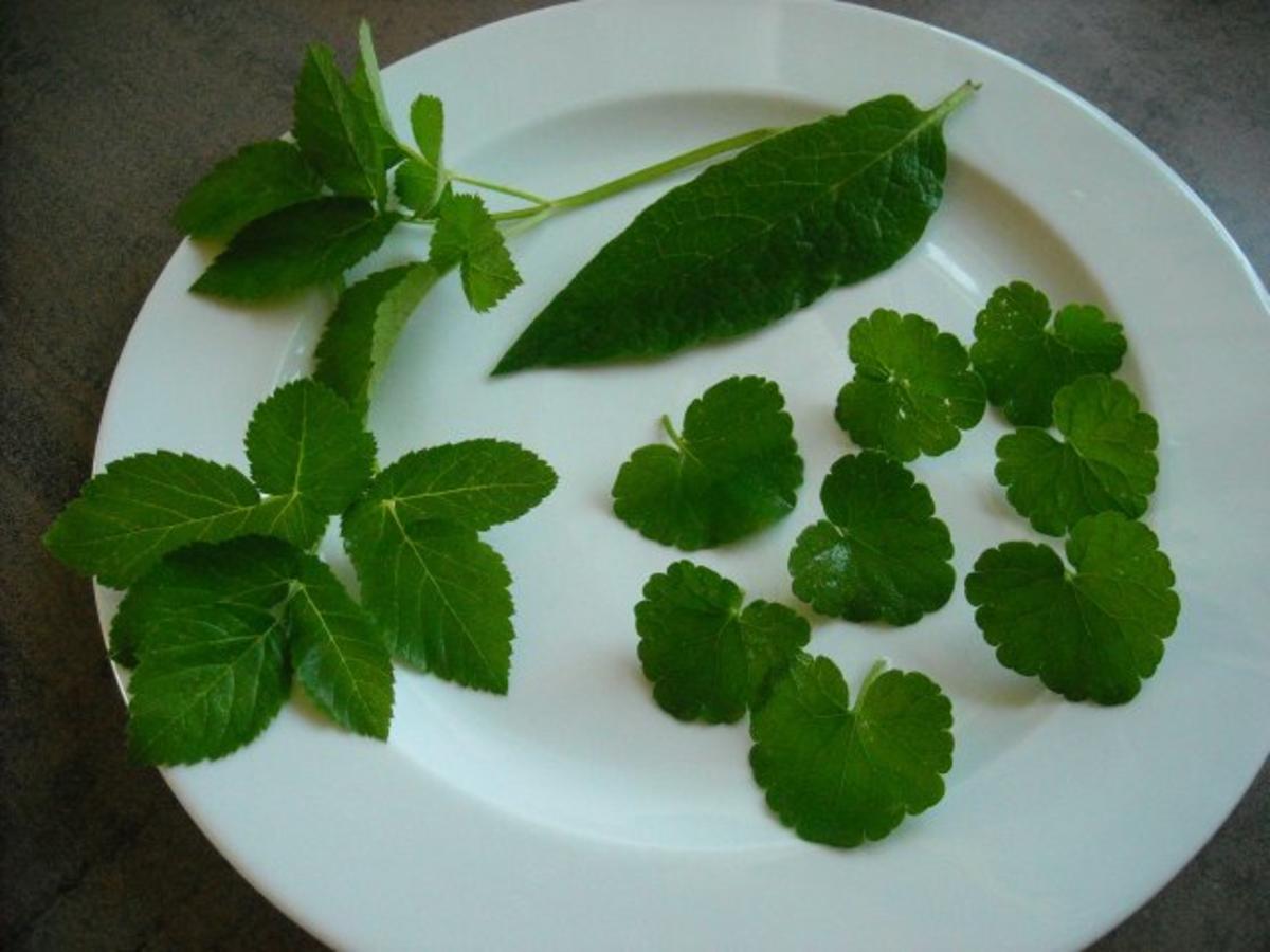 Lauch-Creme-Suppe mit Wildkräuter - Rezept - kochbar.de