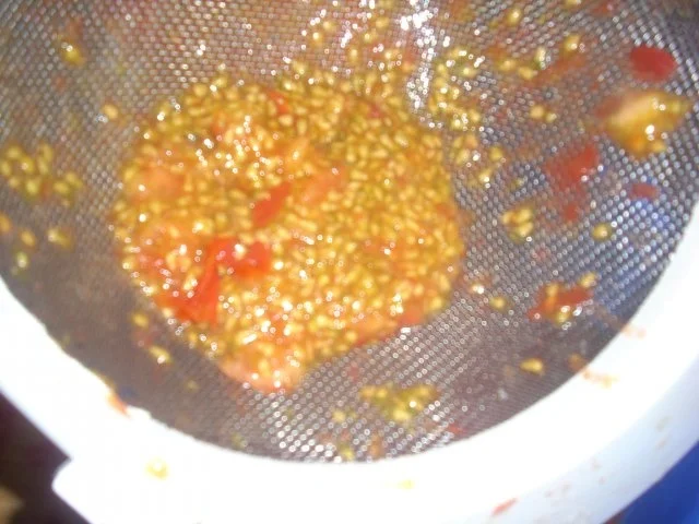 Curry-Ketchup - Rezept - Bild Nr. 7