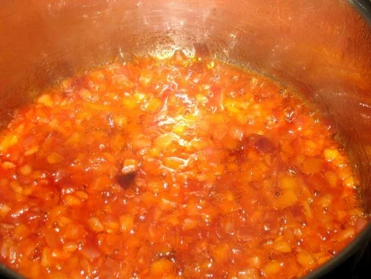 Rezept: Basic - Pikante Gemüse-Chili-Suppen-Saucen-Basis Bild Nr. 5 Basic - Pikante Gemüse-Chili-Suppen-Saucen-Basis - Rezept - Bild Nr. 5