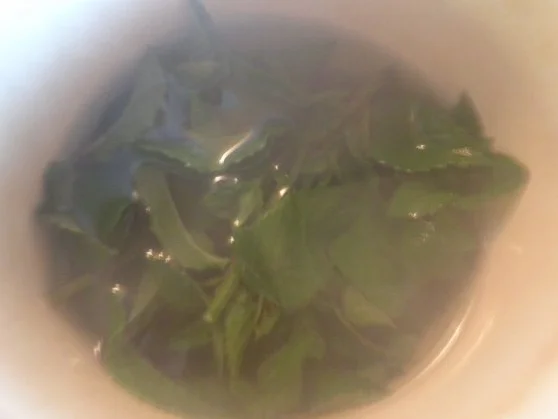 Pfefferminz - Sorbet - Rezept - Bild Nr. 3