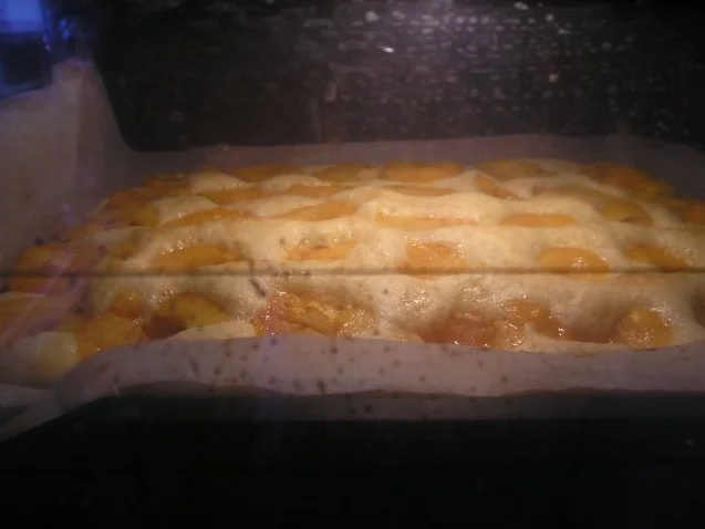 Marillenkuchen (Aprikosen) - Rezept - Bild Nr. 5