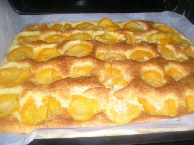 Marillenkuchen (Aprikosen) - Rezept - Bild Nr. 6