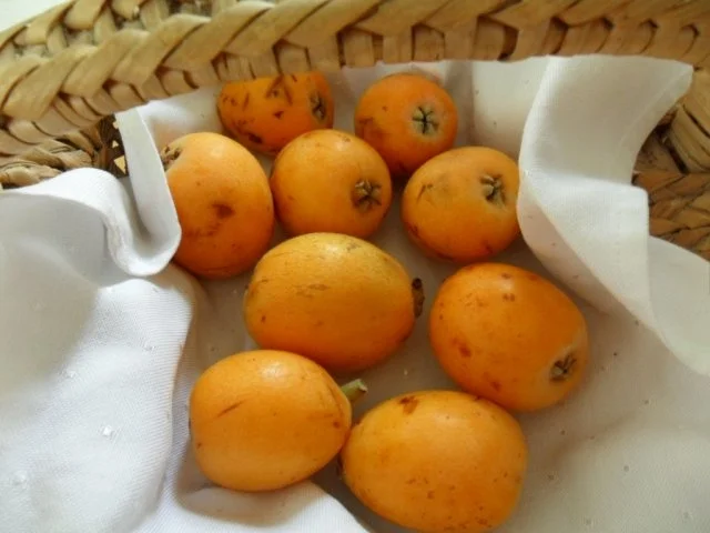 Mispeltorte (kleiner Kuchen 18er-Formgröße) - Rezept - Bild Nr. 2