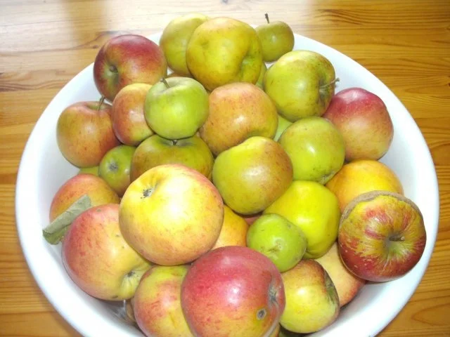 Rezept: Auflauf: Apfel - Brot - Auflauf Bild Nr. 3 Auflauf: Apfel - Brot - Auflauf - Rezept - Bild Nr. 3