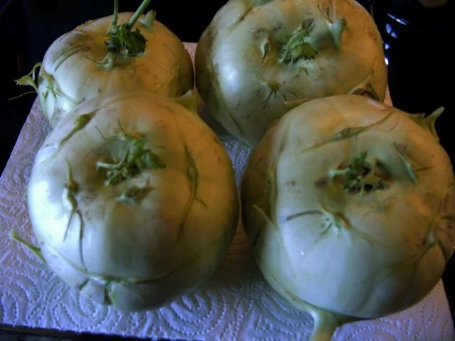 Rezept: GEFÜLLTE KOHLRABI Bild Nr. 2 GEFÜLLTE KOHLRABI - Rezept - Bild Nr. 2