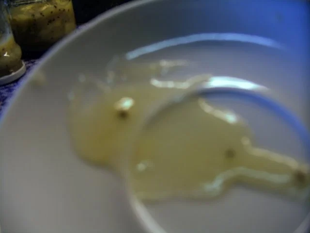 Rezept: Stachelbeer - Kiwi - Apfel - Marmelade Bild Nr. 4 Stachelbeer - Kiwi - Apfel - Marmelade - Rezept - Bild Nr. 4