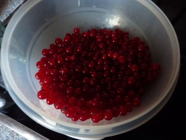 Getränk: Johannisbeerlikör - Rezept - Bild Nr. 3