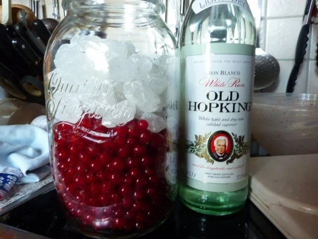 Getränk: Johannisbeerlikör - Rezept - Bild Nr. 4