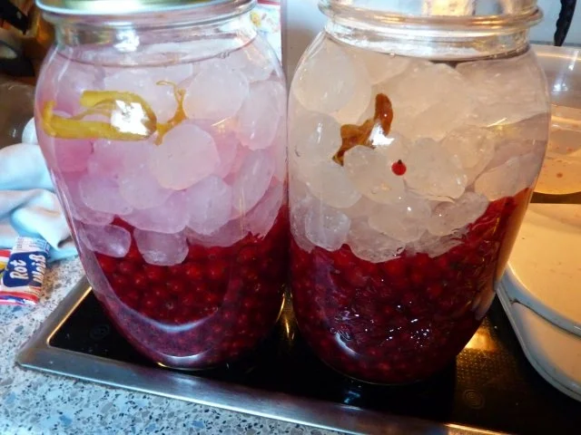 Getränk: Johannisbeerlikör - Rezept - Bild Nr. 5