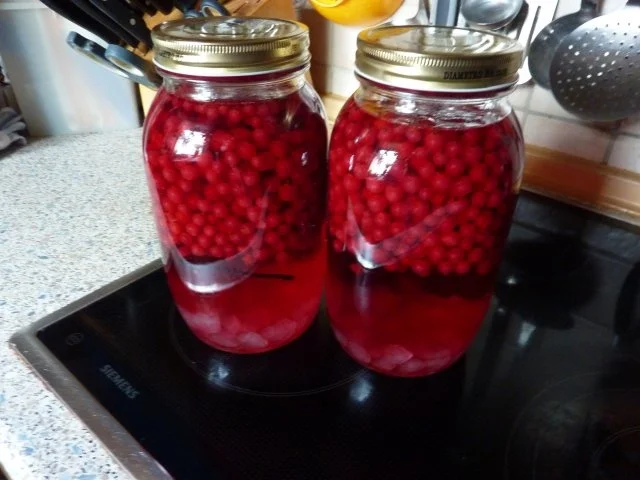 Getränk: Johannisbeerlikör - Rezept