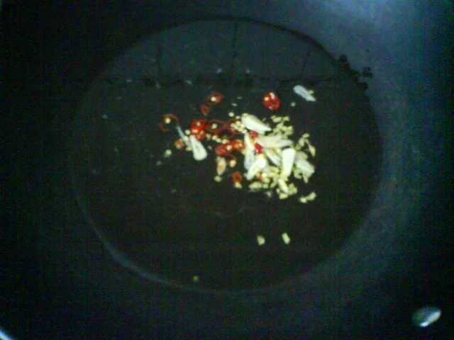 Teriyakithunfisch mit süß saurer Glasnudel-Gemüsepfanne aus dem Wok - Rezept - Bild Nr. 16