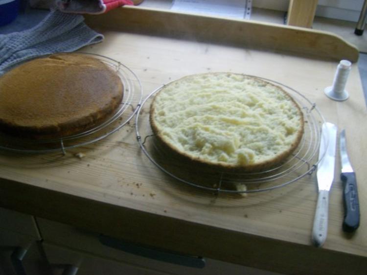 Himbeer Quark Sahne Torte - einfach - von moniundpeter