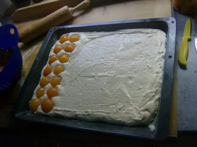 Rezept: Aprikosen Streuselkuchen Bild Nr. 4 Aprikosen Streuselkuchen - Rezept - Bild Nr. 4