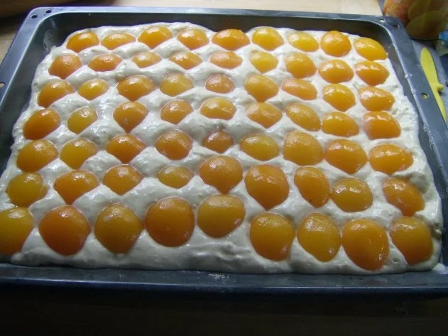 Rezept: Aprikosen Streuselkuchen Bild Nr. 5 Aprikosen Streuselkuchen - Rezept - Bild Nr. 5