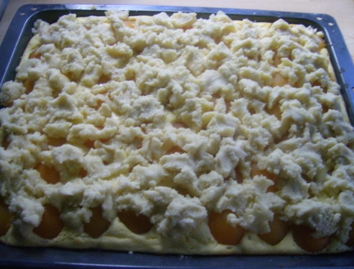 Aprikosen Streuselkuchen - Rezept - Bild Nr. 7