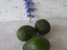 Salat: Avocado Salat - Rezept