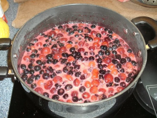 Josta/Johannisbeermarmelade - Rezept - Bild Nr. 2