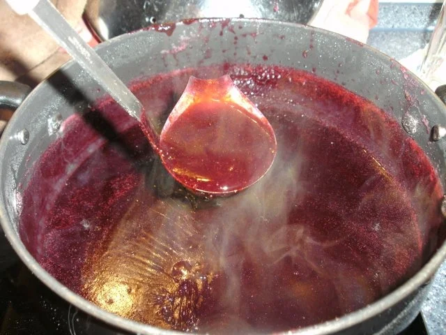 Josta/Johannisbeermarmelade - Rezept - Bild Nr. 4