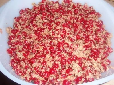 Kuchen: Nuss-Ribiselkuchen - Rezept - Bild Nr. 2